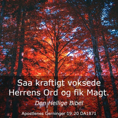 Picture 03 - Apostlenes Gerninger 19:20 DA1871 - Saa kraftigt voksede Herrens Ord og fik - Bible Verse Picture