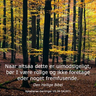 Picture 03 - Apostlenes Gerninger 19:36 DA1871 - Naar altsaa dette er uimodsigeligt, bør I være - Bible Verse Picture