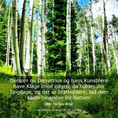 Picture 03 - Apostlenes Gerninger 19:38 DA1871 - Dersom nu Demetrius og hans Kunstnere have Klage - Bible Verse Picture