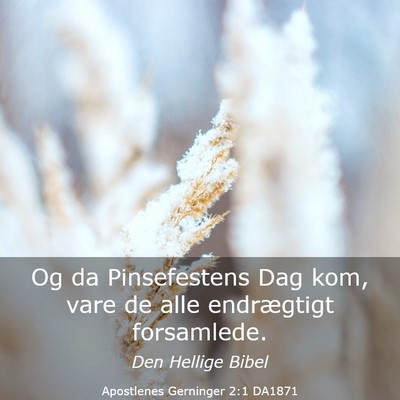 Picture 03 - Apostlenes Gerninger 2:1 DA1871 - Og da Pinsefestens Dag kom, vare de alle - Bible Verse Picture