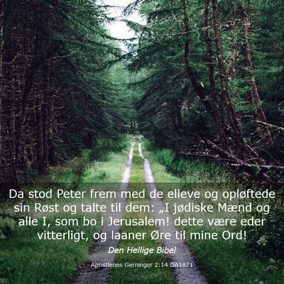 Picture 03 - Apostlenes Gerninger 2:14 DA1871 - Da stod Peter frem med de elleve og opløftede - Bible Verse Picture