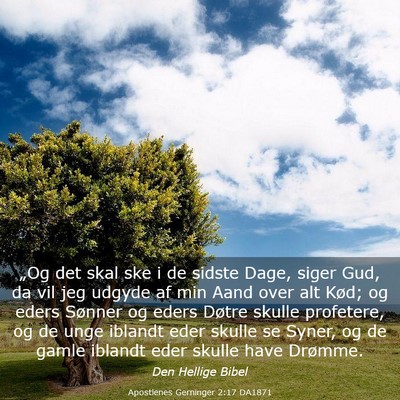 Picture 03 - Apostlenes Gerninger 2:17 DA1871 - „Og det skal ske i de sidste Dage, siger Gud, - Bible Verse Picture