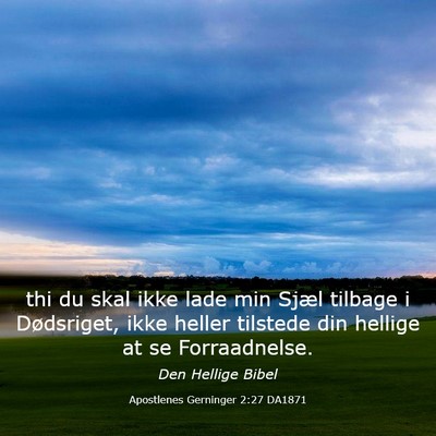 Picture 03 - Apostlenes Gerninger 2:27 DA1871 - thi du skal ikke lade min Sjæl tilbage i - Bible Verse Picture