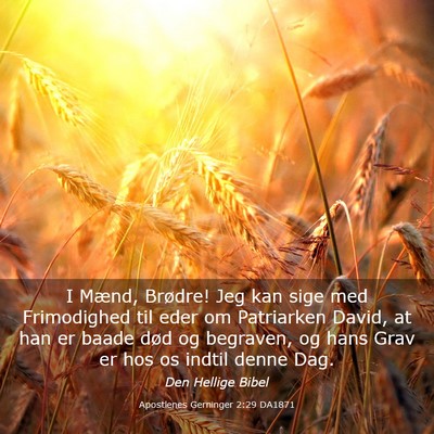 Picture 03 - Apostlenes Gerninger 2:29 DA1871 - I Mænd, Brødre! Jeg kan sige med Frimodighed - Bible Verse Picture