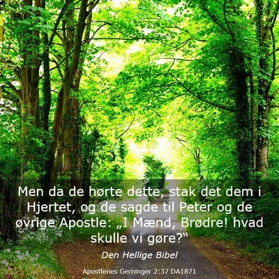 Picture 03 - Apostlenes Gerninger 2:37 DA1871 - Men da de hørte dette, stak det dem i Hjertet, - Bible Verse Picture