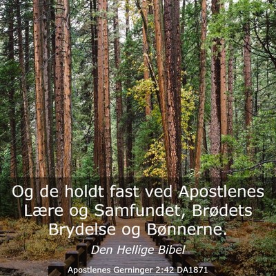 Picture 03 - Apostlenes Gerninger 2:42 DA1871 - Og de holdt fast ved Apostlenes Lære og - Bible Verse Picture