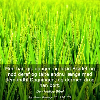 Picture 03 - Apostlenes Gerninger 20:11 DA1871 - Men han gik op igen og brød Brødet og nød - Bible Verse Picture