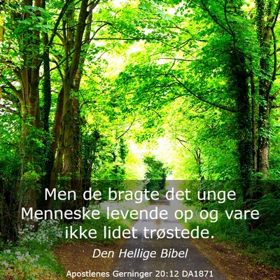 Picture 03 - Apostlenes Gerninger 20:12 DA1871 - Men de bragte det unge Menneske levende op og - Bible Verse Picture