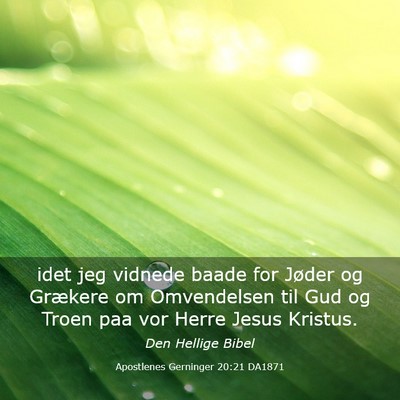 Picture 03 - Apostlenes Gerninger 20:21 DA1871 - idet jeg vidnede baade for Jøder og Grækere om - Bible Verse Picture