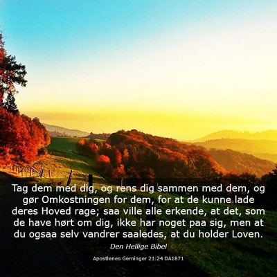 Picture 03 - Apostlenes Gerninger 21:24 DA1871 - Tag dem med dig, og rens dig sammen med dem, og - Bible Verse Picture