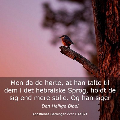 Picture 03 - Apostlenes Gerninger 22:2 DA1871 - Men da de hørte, at han talte til dem i det - Bible Verse Picture