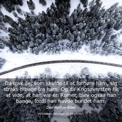 Picture 03 - Apostlenes Gerninger 22:29 DA1871 - Da trak de, som skulde til at forhøre ham, sig - Bible Verse Picture