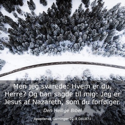 Picture 03 - Apostlenes Gerninger 22:8 DA1871 - Men jeg svarede: Hvem er du, Herre? Og han sagde - Bible Verse Picture