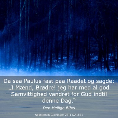 Picture 03 - Apostlenes Gerninger 23:1 DA1871 - Da saa Paulus fast paa Raadet og sagde: „I - Bible Verse Picture