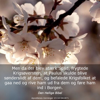 Picture 03 - Apostlenes Gerninger 23:10 DA1871 - Men da der blev stærk Splid, frygtede - Bible Verse Picture