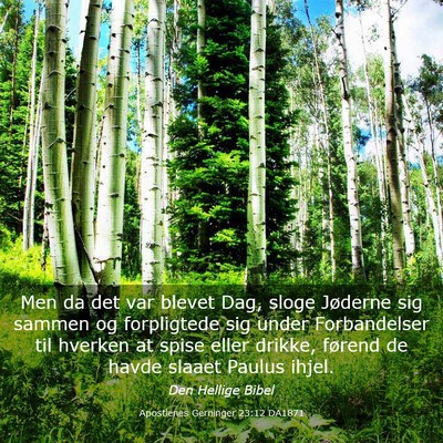 Picture 03 - Apostlenes Gerninger 23:12 DA1871 - Men da det var blevet Dag, sloge Jøderne sig - Bible Verse Picture
