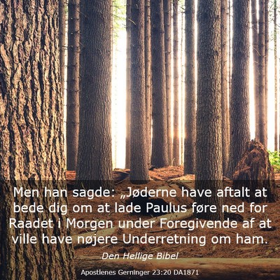Picture 03 - Apostlenes Gerninger 23:20 DA1871 - Men han sagde: „Jøderne have aftalt at bede - Bible Verse Picture
