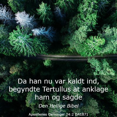 Picture 03 - Apostlenes Gerninger 24:2 DA1871 - Da han nu var kaldt ind, begyndte Tertullus at - Bible Verse Picture