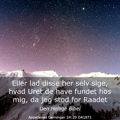 Picture 03 - Apostlenes Gerninger 24:20 DA1871 - Eller lad disse her selv sige, hvad Uret de have - Bible Verse Picture