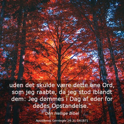 Picture 03 - Apostlenes Gerninger 24:21 DA1871 - uden det skulde være dette ene Ord, som jeg - Bible Verse Picture