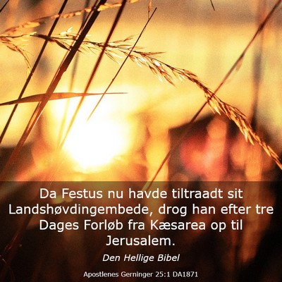 Picture 03 - Apostlenes Gerninger 25:1 DA1871 - Da Festus nu havde tiltraadt sit - Bible Verse Picture
