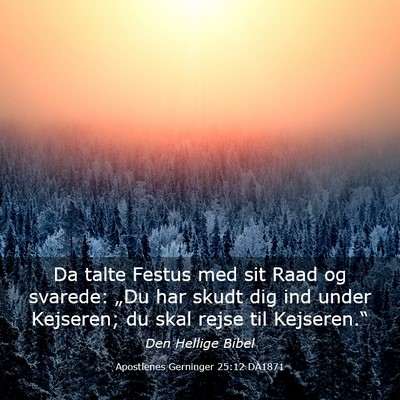 Picture 03 - Apostlenes Gerninger 25:12 DA1871 - Da talte Festus med sit Raad og svarede: „Du - Bible Verse Picture