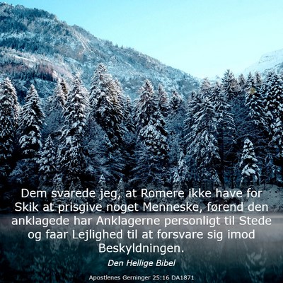 Picture 03 - Apostlenes Gerninger 25:16 DA1871 - Dem svarede jeg, at Romere ikke have for Skik at - Bible Verse Picture