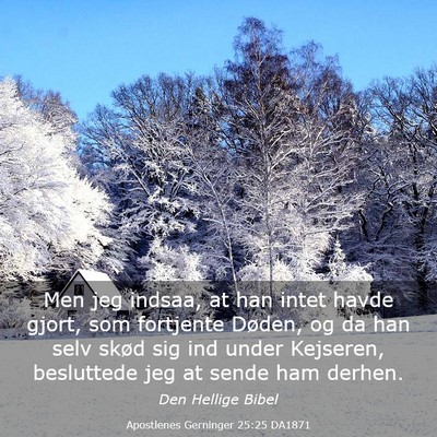 Picture 03 - Apostlenes Gerninger 25:25 DA1871 - Men jeg indsaa, at han intet havde gjort, som - Bible Verse Picture