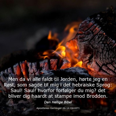 Picture 03 - Apostlenes Gerninger 26:14 DA1871 - Men da vi alle faldt til Jorden, hørte jeg en - Bible Verse Picture
