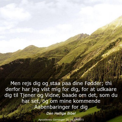 Picture 03 - Apostlenes Gerninger 26:16 DA1871 - Men rejs dig og staa paa dine Fødder; thi derfor - Bible Verse Picture