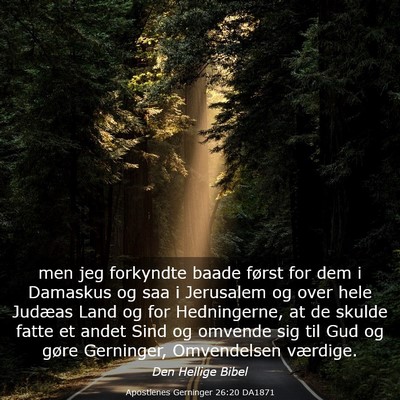 Picture 03 - Apostlenes Gerninger 26:20 DA1871 - men jeg forkyndte baade først for dem i Damaskus - Bible Verse Picture