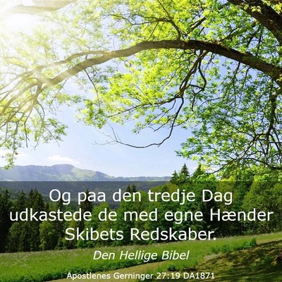 Picture 03 - Apostlenes Gerninger 27:19 DA1871 - Og paa den tredje Dag udkastede de med egne - Bible Verse Picture