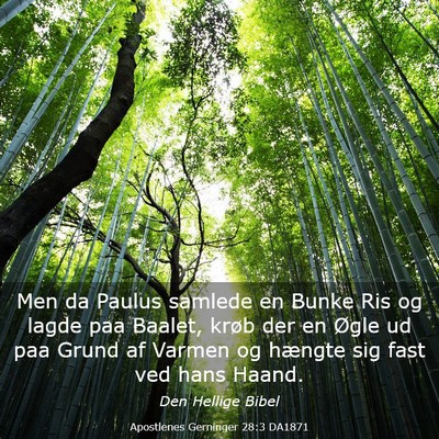 Picture 03 - Apostlenes Gerninger 28:3 DA1871 - Men da Paulus samlede en Bunke Ris og lagde paa - Bible Verse Picture