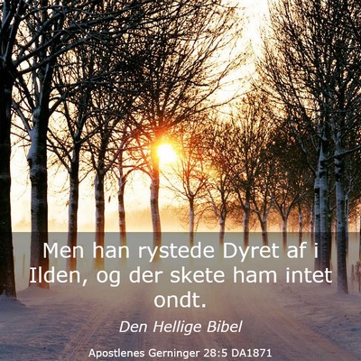 Picture 03 - Apostlenes Gerninger 28:5 DA1871 - Men han rystede Dyret af i Ilden, og der skete - Bible Verse Picture