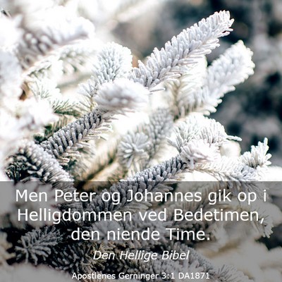Picture 03 - Apostlenes Gerninger 3:1 DA1871 - Men Peter og Johannes gik op i Helligdommen ved - Bible Verse Picture
