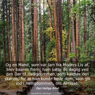 Picture 03 - Apostlenes Gerninger 3:2 DA1871 - Og en Mand, som var lam fra Moders Liv af, blev - Bible Verse Picture