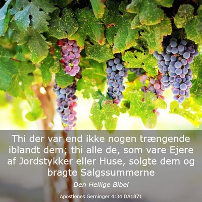Picture 03 - Apostlenes Gerninger 4:34 DA1871 - Thi der var end ikke nogen trængende iblandt - Bible Verse Picture