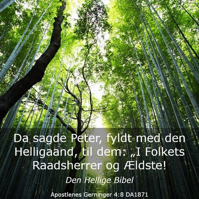 Picture 03 - Apostlenes Gerninger 4:8 DA1871 - Da sagde Peter, fyldt med den Helligaand, til - Bible Verse Picture