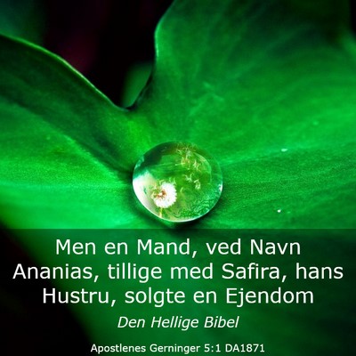 Picture 03 - Apostlenes Gerninger 5:1 DA1871 - Men en Mand, ved Navn Ananias, tillige med - Bible Verse Picture
