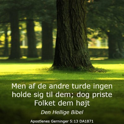 Picture 03 - Apostlenes Gerninger 5:13 DA1871 - Men af de andre turde ingen holde sig til dem; - Bible Verse Picture