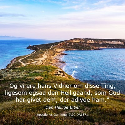 Picture 03 - Apostlenes Gerninger 5:32 DA1871 - Og vi ere hans Vidner om disse Ting, ligesom - Bible Verse Picture