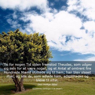 Picture 03 - Apostlenes Gerninger 5:36 DA1871 - Thi for nogen Tid siden fremstod Theudas, som - Bible Verse Picture
