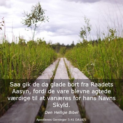 Picture 03 - Apostlenes Gerninger 5:41 DA1871 - Saa gik de da glade bort fra Raadets Aasyn, fordi - Bible Verse Picture