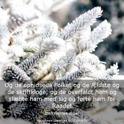 Picture 03 - Apostlenes Gerninger 6:12 DA1871 - Og de ophidsede Folket og de Ældste og de - Bible Verse Picture