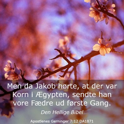Picture 03 - Apostlenes Gerninger 7:12 DA1871 - Men da Jakob hørte, at der var Korn i Ægypten, - Bible Verse Picture