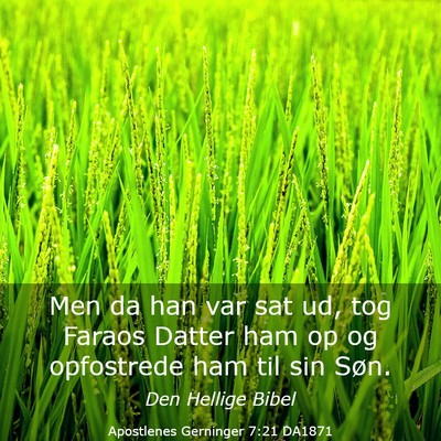 Picture 03 - Apostlenes Gerninger 7:21 DA1871 - Men da han var sat ud, tog Faraos Datter ham op - Bible Verse Picture