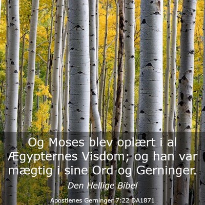 Picture 03 - Apostlenes Gerninger 7:22 DA1871 - Og Moses blev oplært i al Ægypternes Visdom; og - Bible Verse Picture