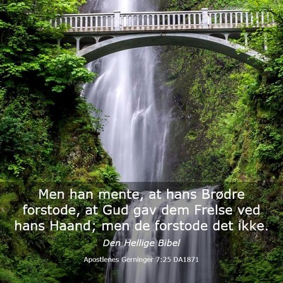 Picture 03 - Apostlenes Gerninger 7:25 DA1871 - Men han mente, at hans Brødre forstode, at Gud - Bible Verse Picture