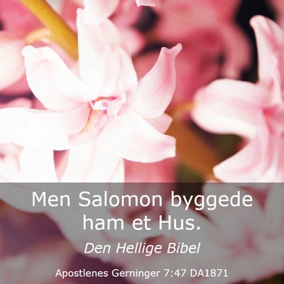 Picture 03 - Apostlenes Gerninger 7:47 DA1871 - Men Salomon byggede ham et - Bible Verse Picture