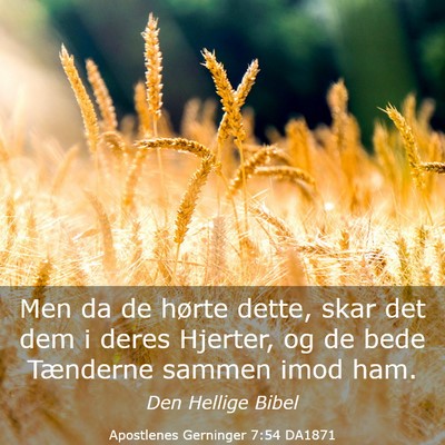 Picture 03 - Apostlenes Gerninger 7:54 DA1871 - Men da de hørte dette, skar det dem i deres - Bible Verse Picture